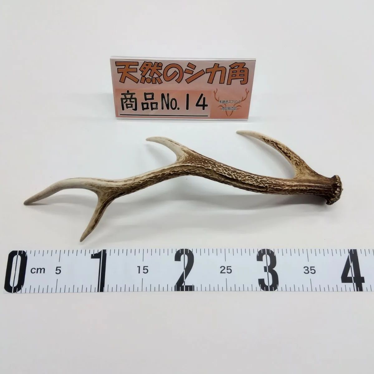 天然 鹿の角 三段角 No.14 - メルカリ