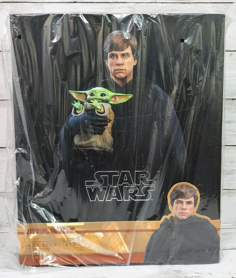 マンダロリアン ルーク スカイウォーカー マスターピースDX 1 6