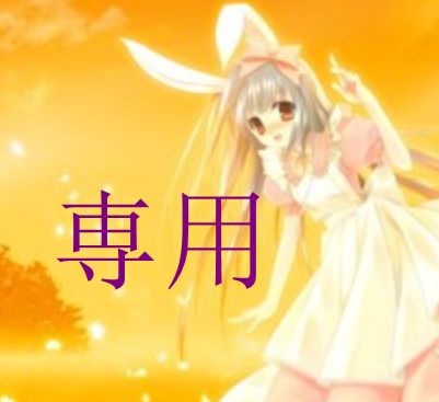 S  様 専用