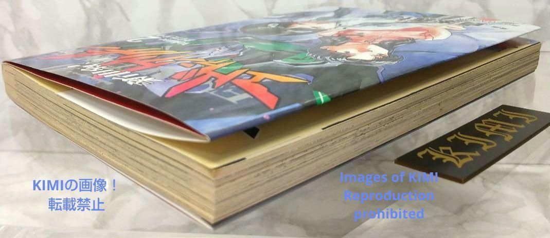 希少 初版 第1刷発行 新世紀エヴァンゲリオン 2 コミック 漫画 本 1996