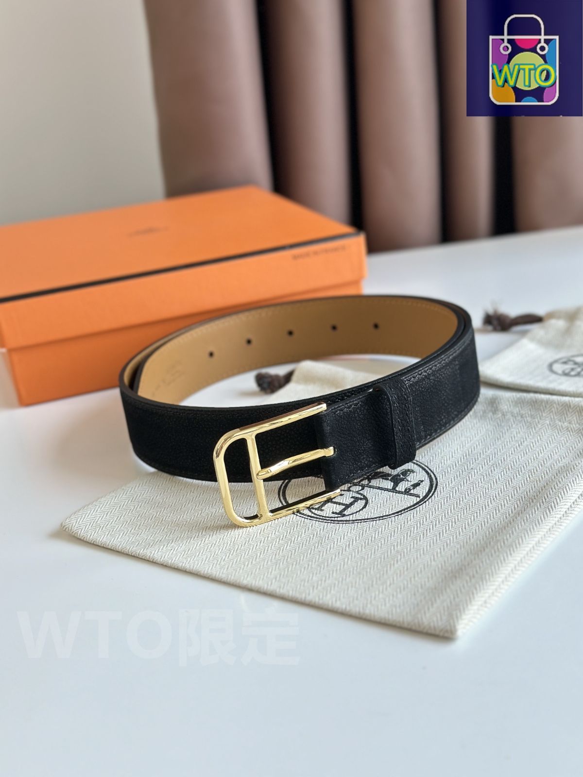 サイカス コッツシアーナ ブルー葉 赤肌 オーストラリア産 Cycas