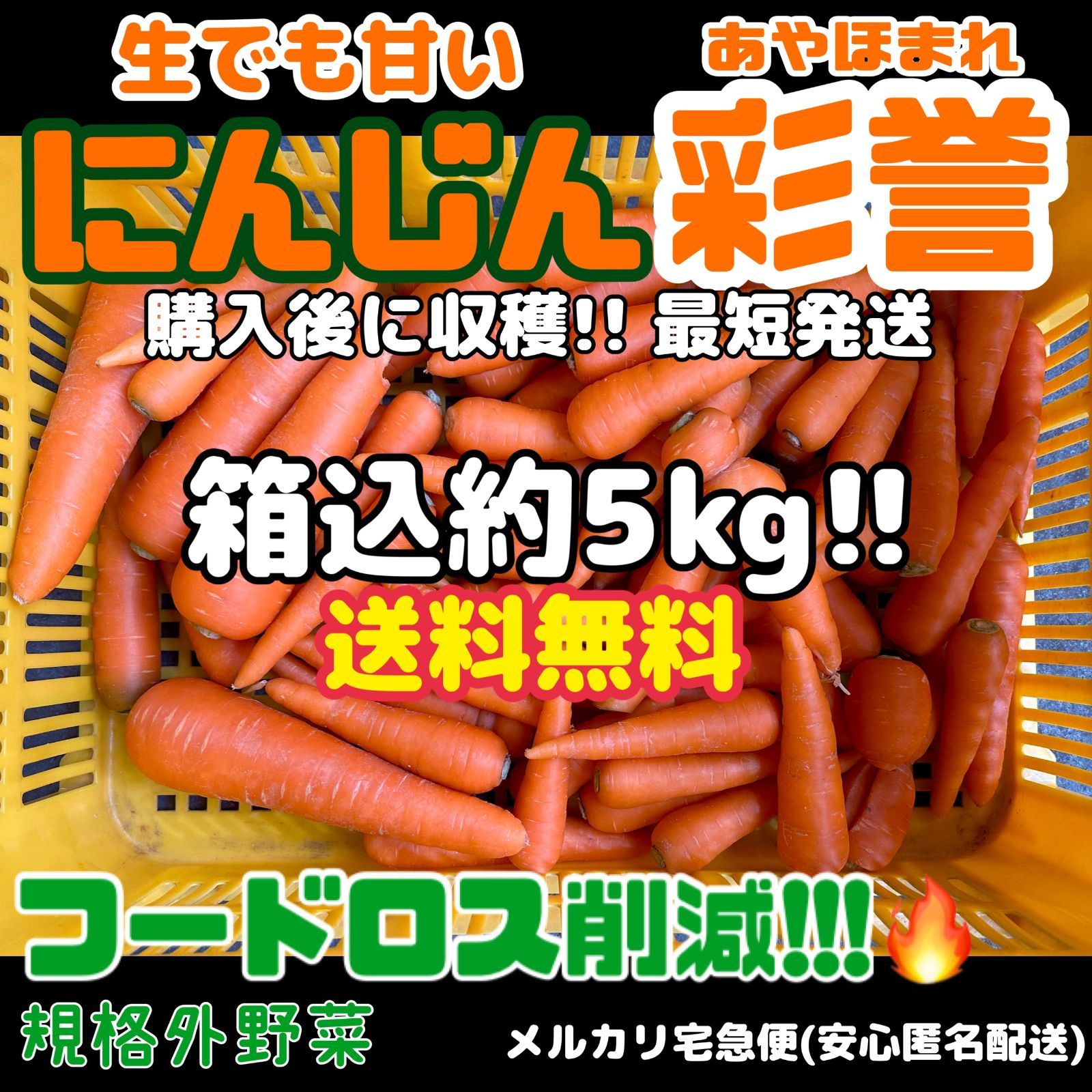 送料無料!! 【生でも甘い採れたて産地直送！】にんじん約5Kg(箱込)　稀少価値の高い彩誉(皮ごと食べても問題ありません)