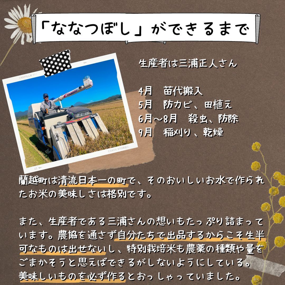 【令和6年・減農薬・特別栽培米】ななつぼし 10kg 北海道 蘭越産