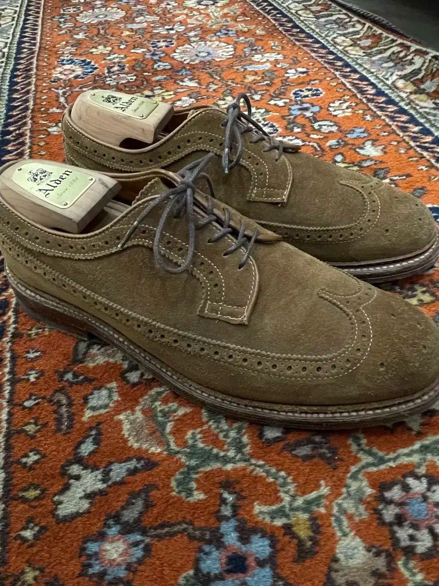 ALDEN オールデン 9794 8 5E