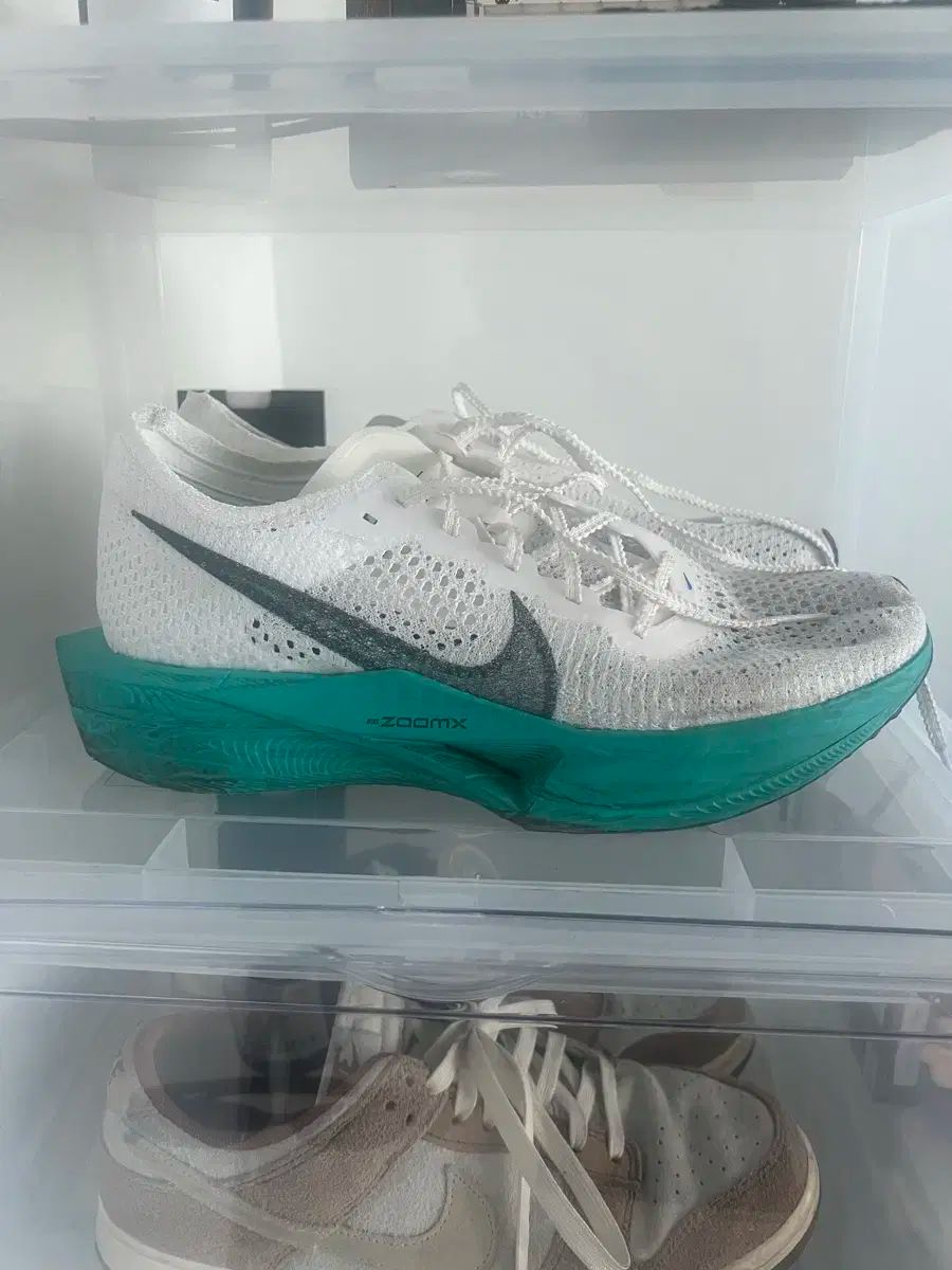 白 浸漬
