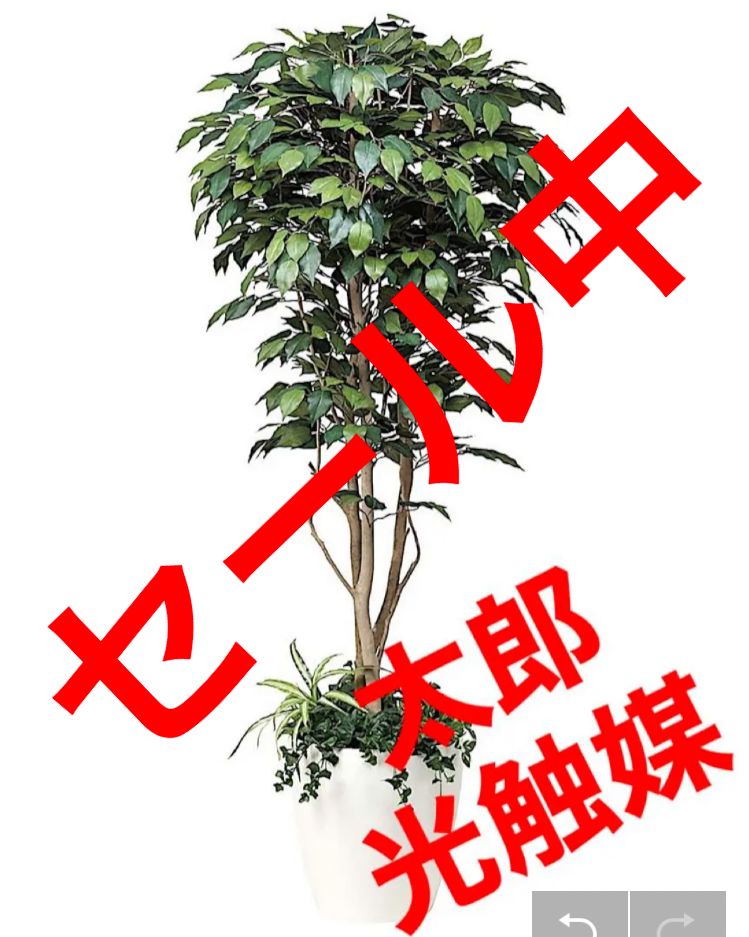 光触媒 人工観葉植物 ウォールグリーン フェイクグリーン ベンジャミン