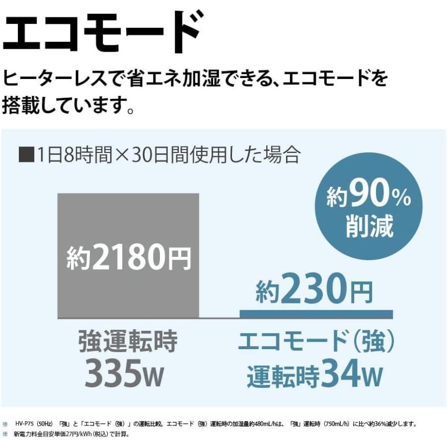 レギュラータイプ 正規品