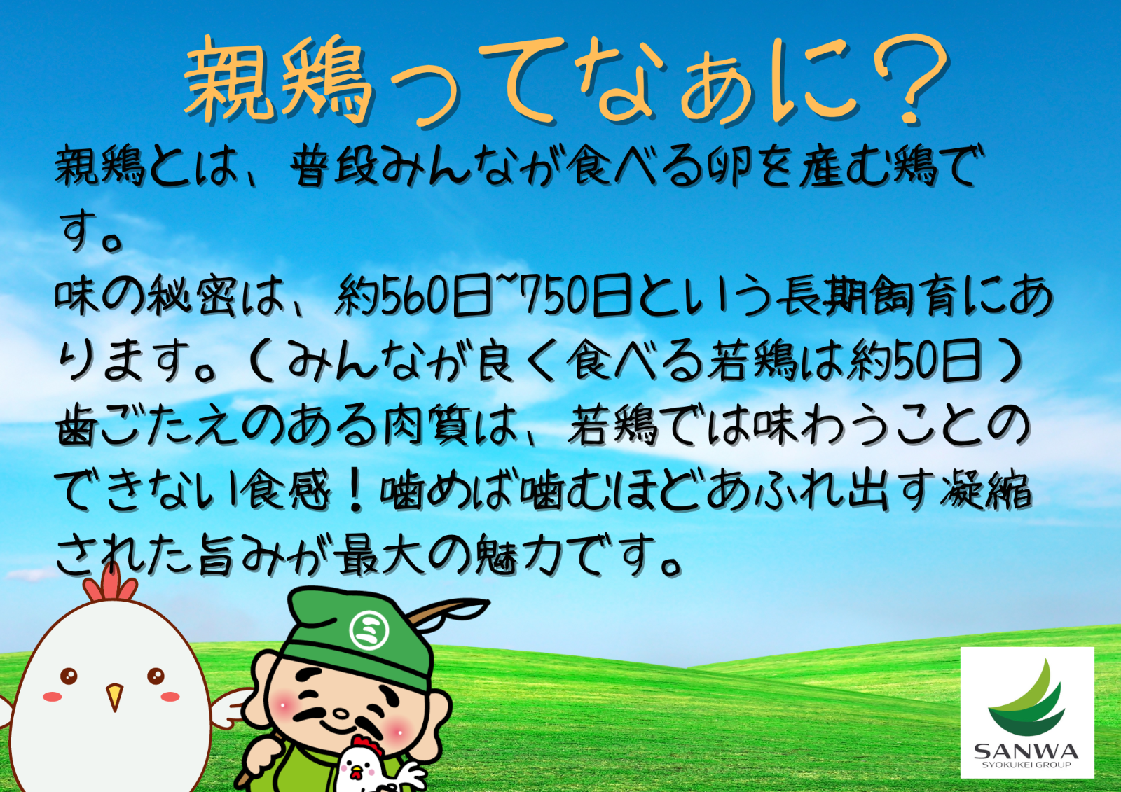 【もっとお得に10羽分】親鶏むね肉20枚セット（1枚パック×20ｐ）