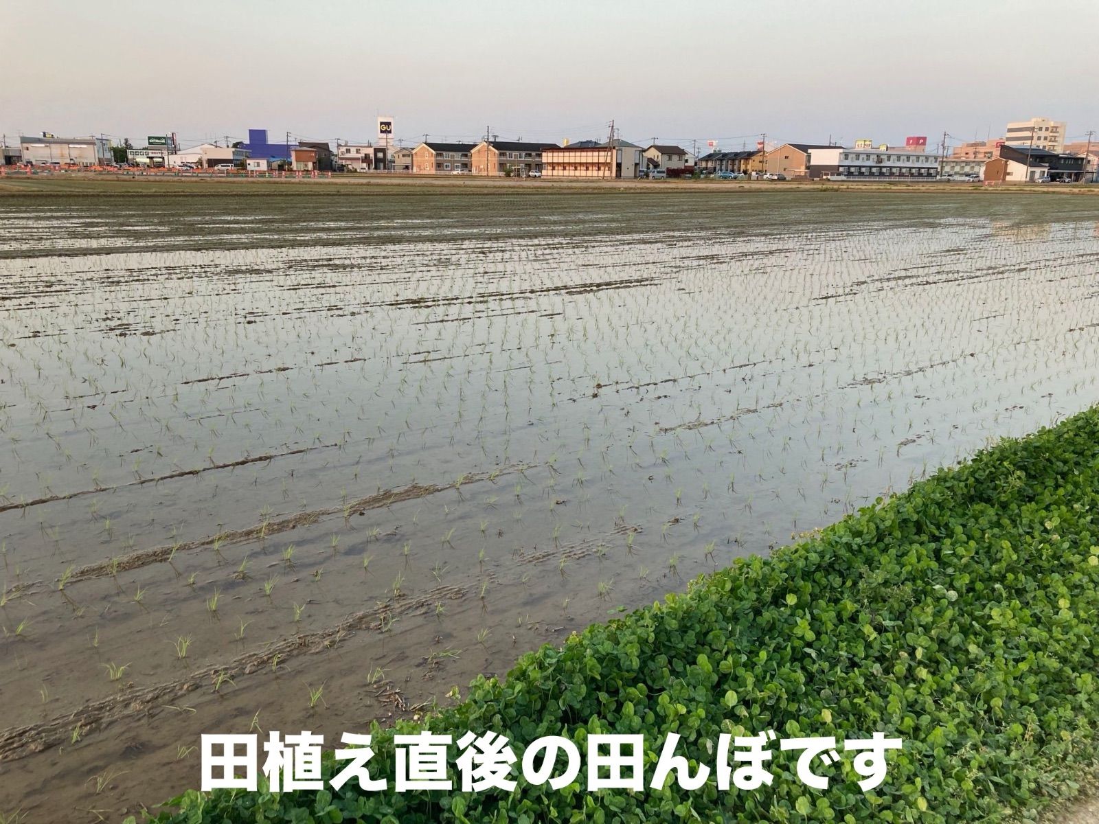 米