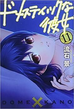 ドメスティックな彼女(10冊セット)第11、12、13、14、15、16、17、18、19、20 巻 レンタル用【全巻 コミック・本 中古 Comic】レンタル落ち