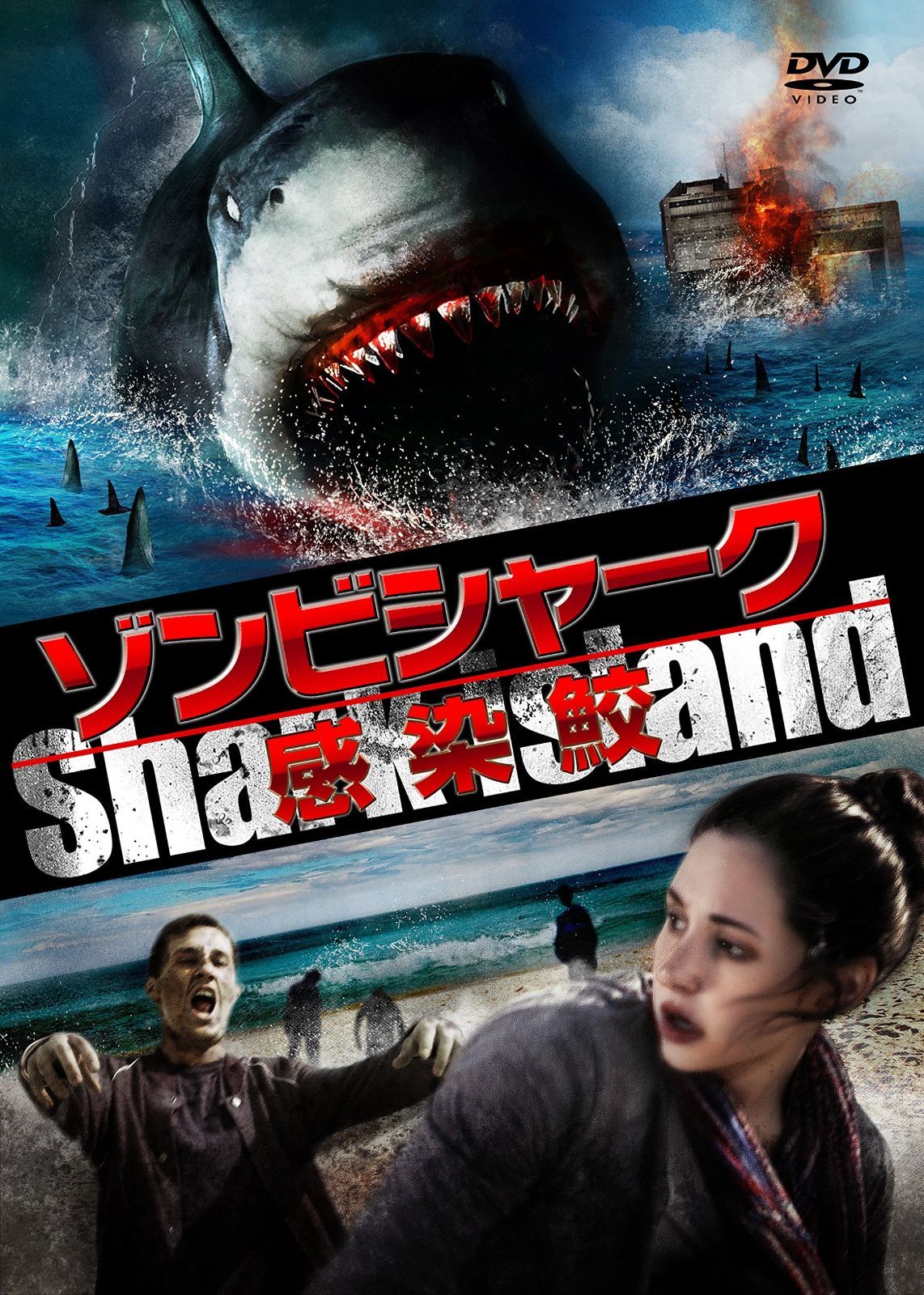 ゾンビシャーク 感染鮫 DVD