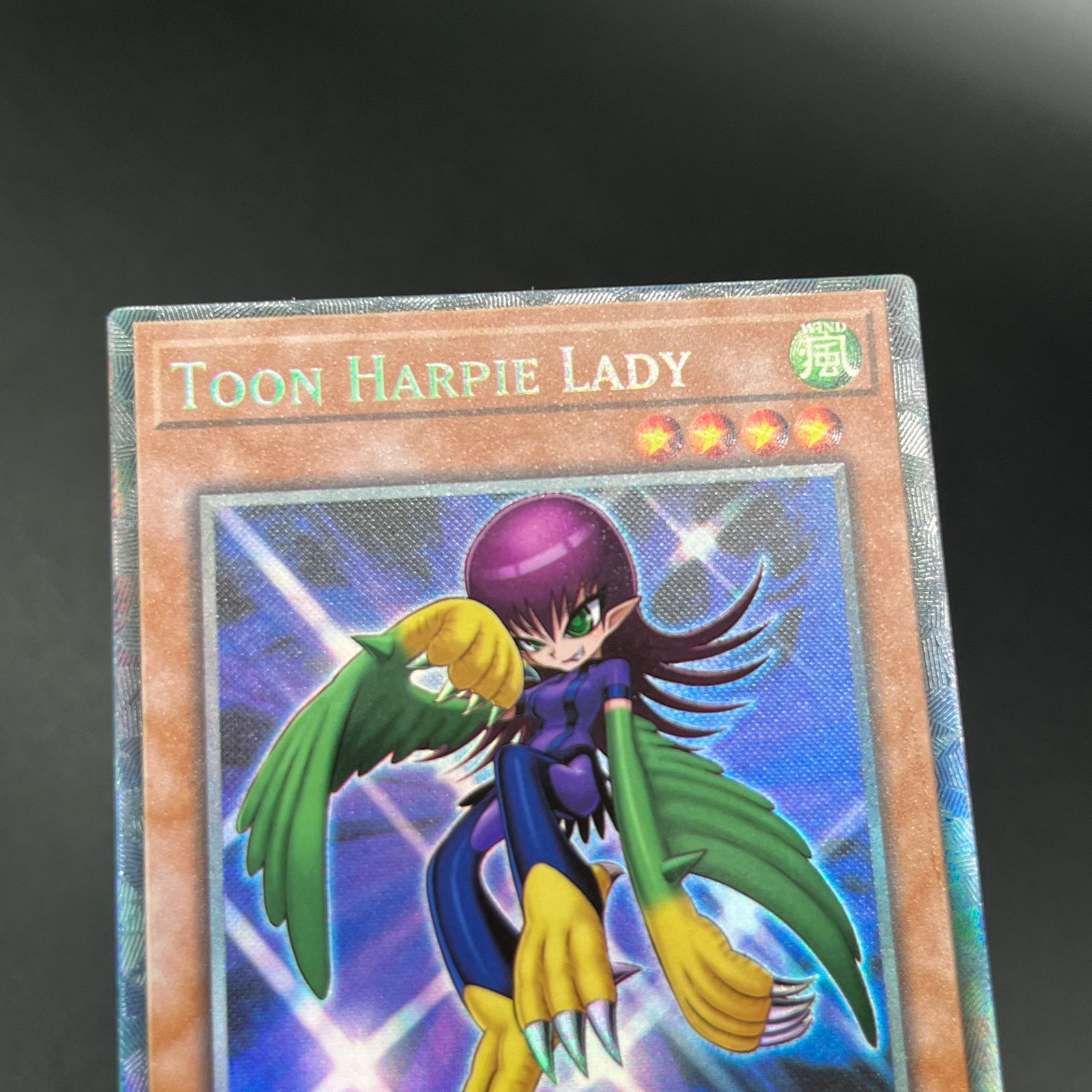 遊戯王 英語 EU版 トゥーンハーピィレディ コレクターズレア 遊戯王 英語 EU版 トゥーンハーピィレディ コレクターズレア