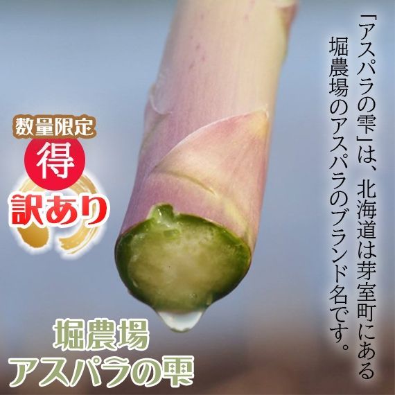 北海道 十勝産 アスパラ 訳アリ品 1kg 芽室 野菜 グリーンアスパラ 取り寄せ お土産 プレゼント