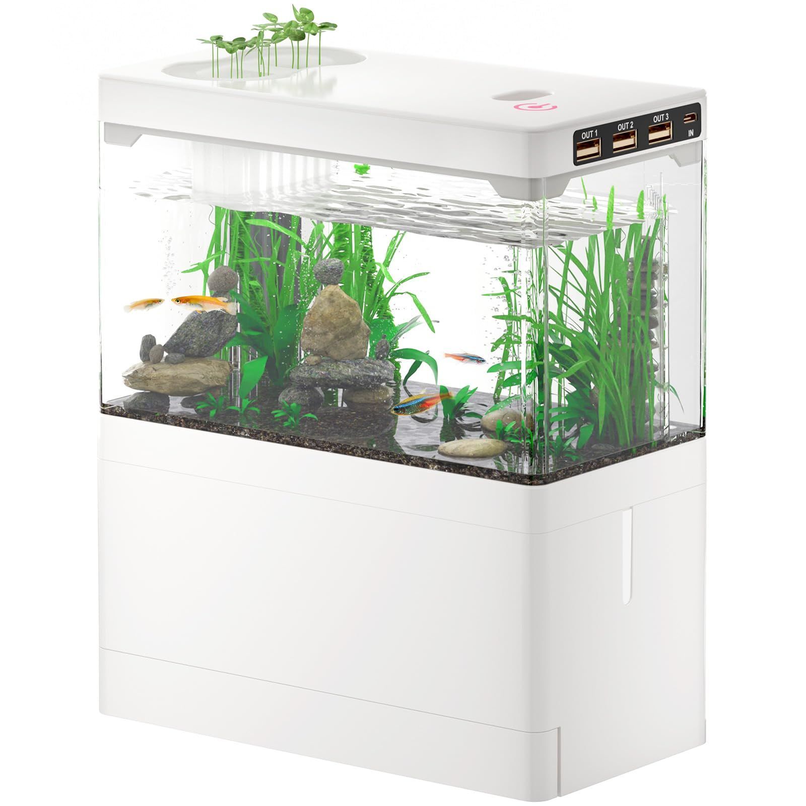 水槽セット 23L エアーポンプ フィルター 人口水草 餌 カルキ中和剤等