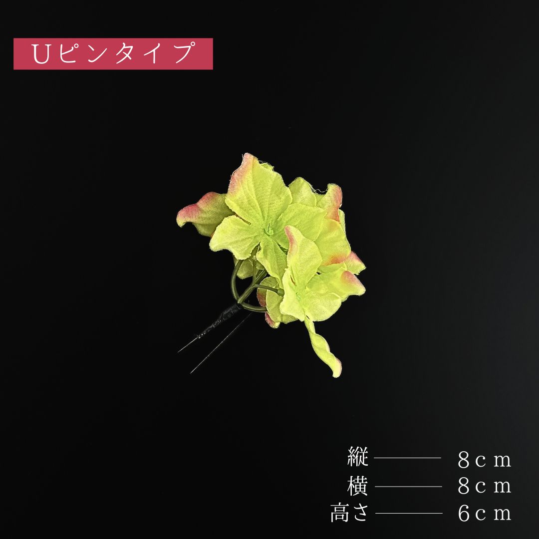 ダリア