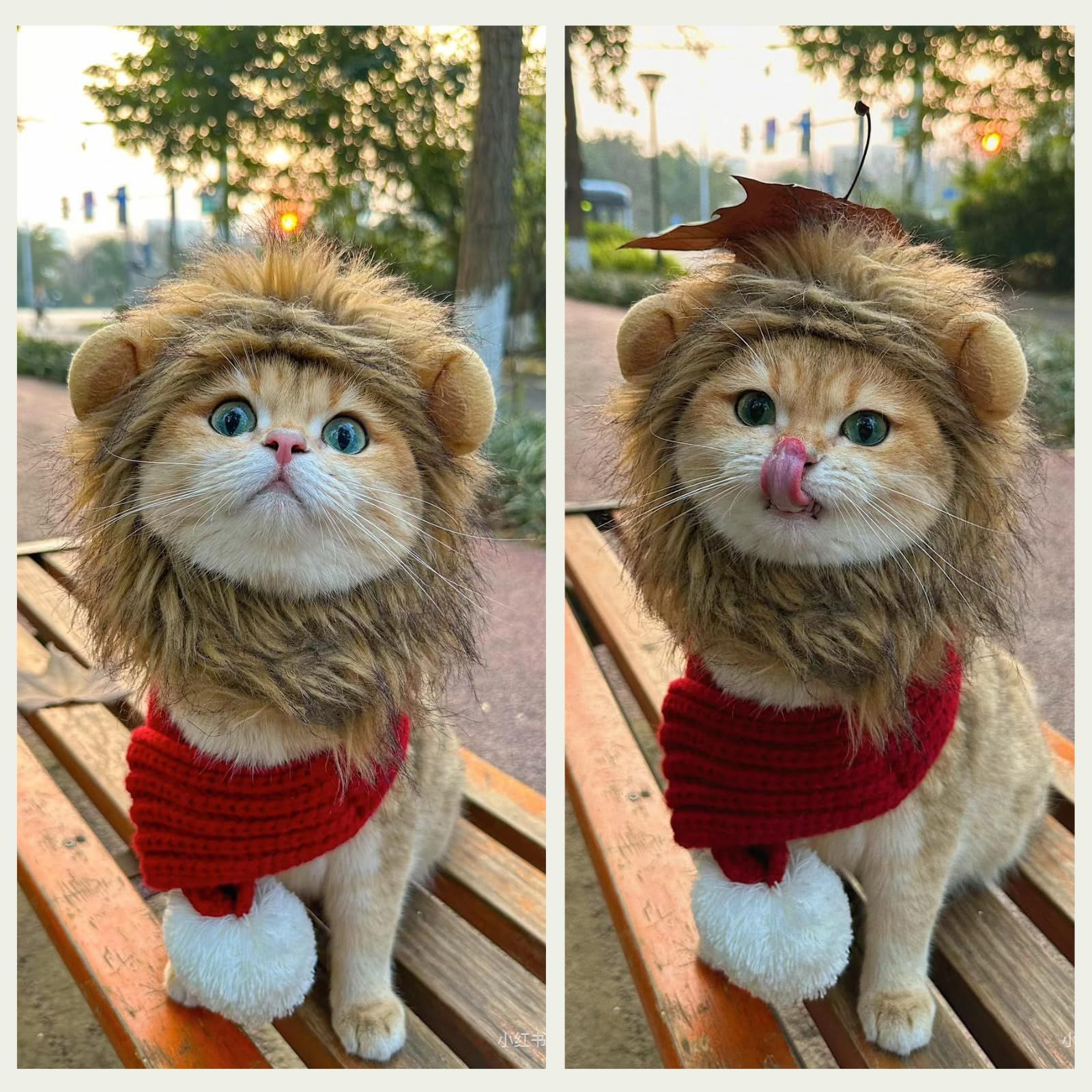 新品 猫ライオンのコスチューム 猫用ウィッグ 小型犬 中型犬