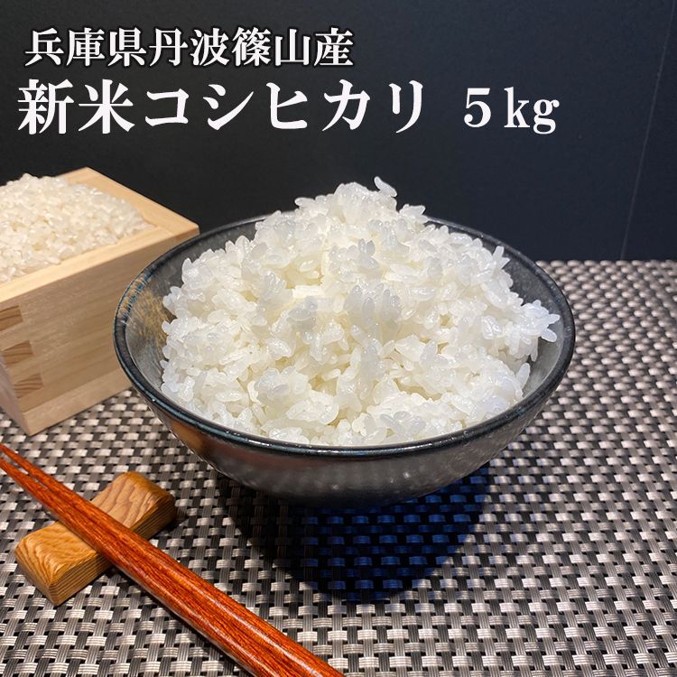 【丹波篠山コシヒカリ】白米/20kg 令和4年産　美味しいお米☆農家直送！！