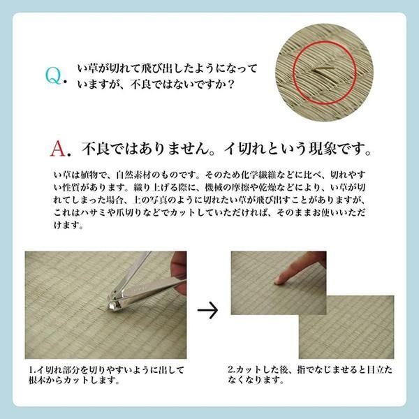 い草 マット クッション ポコポコ くつろぎ お昼寝 グリーン 約70×150cm MARWIL-DEMENAGEMENTS_CH