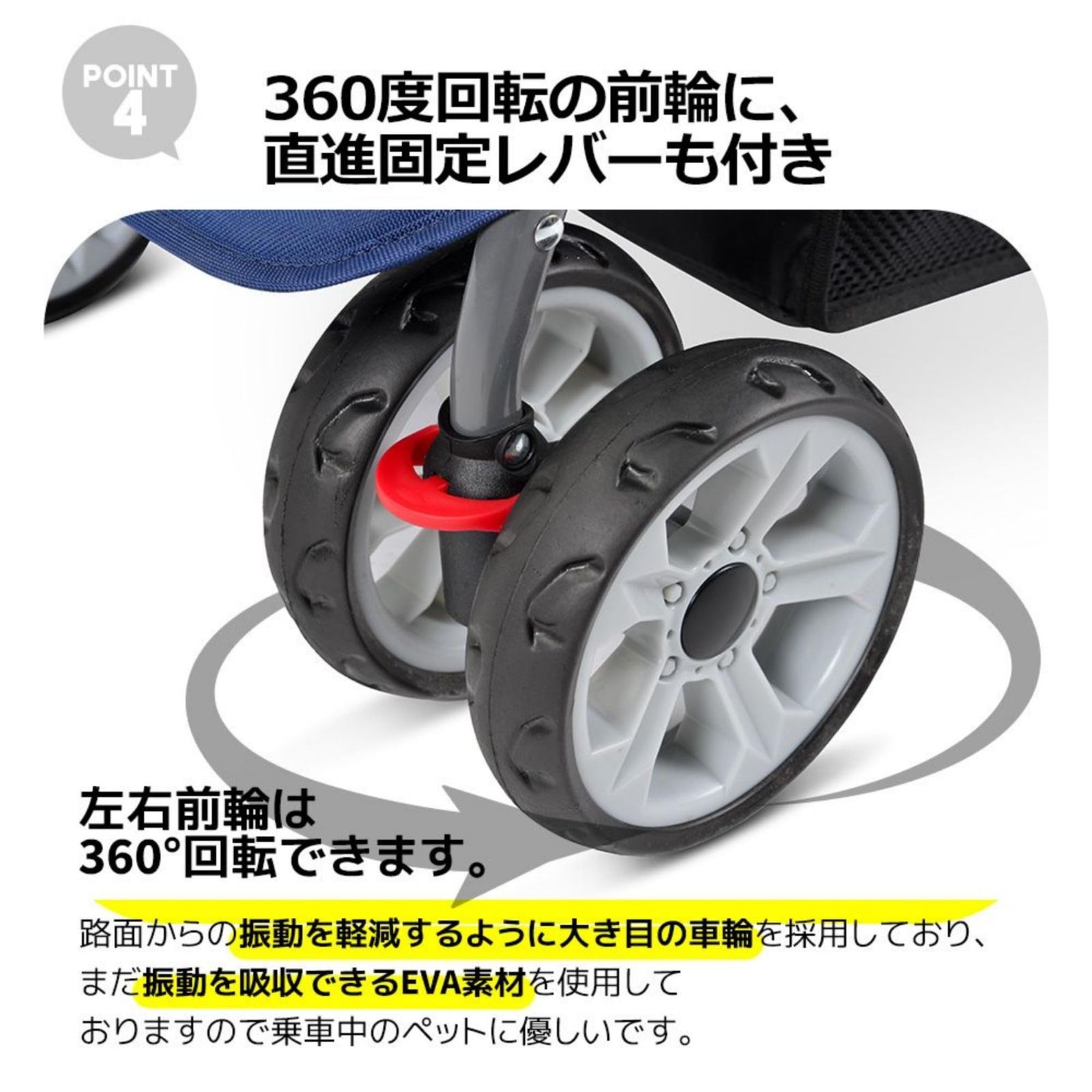 動物 BTM