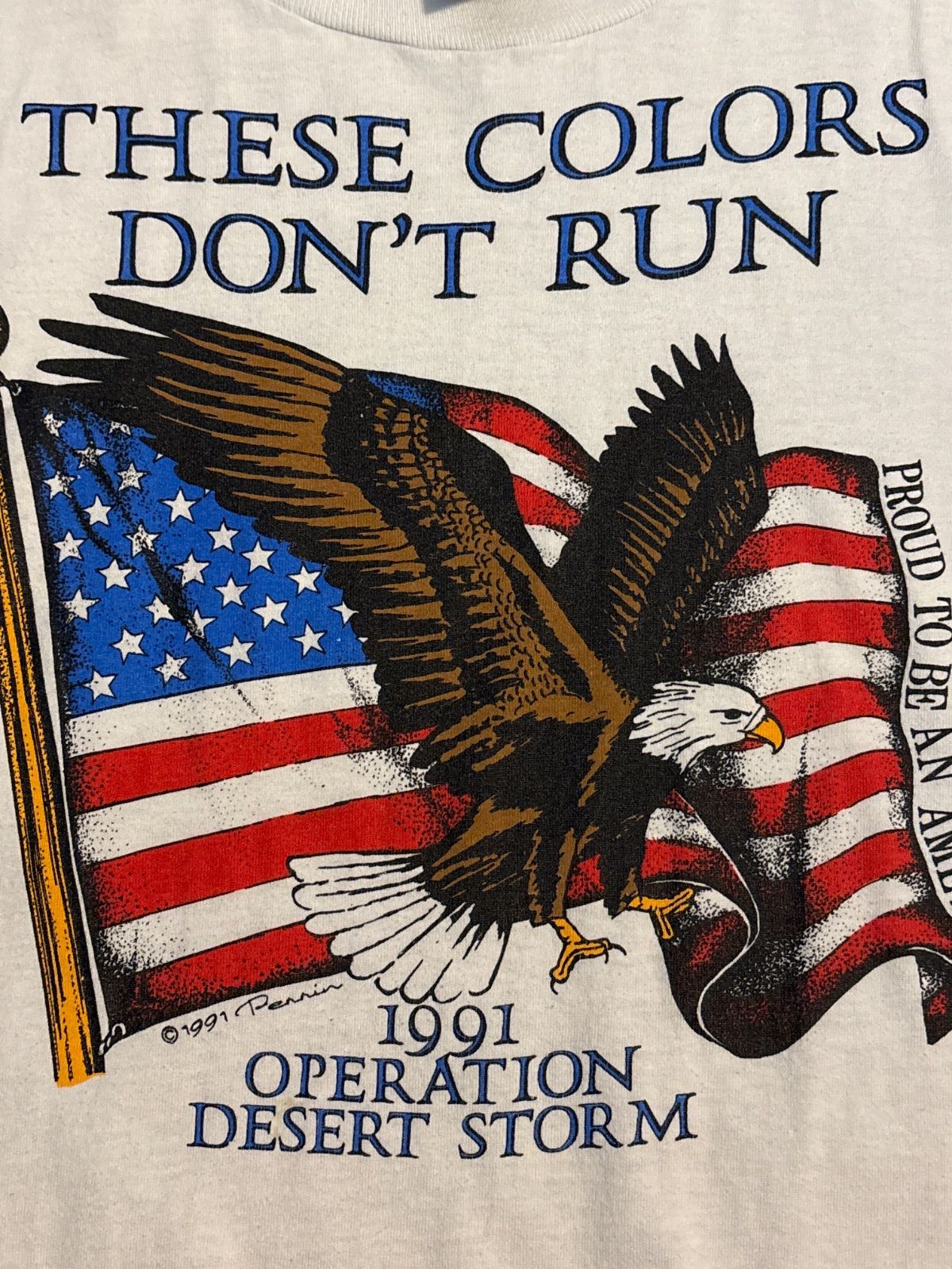 90s usa イーグル 1991 ヴィンテージ Tシャツ シルクスクリーン 手刷り 