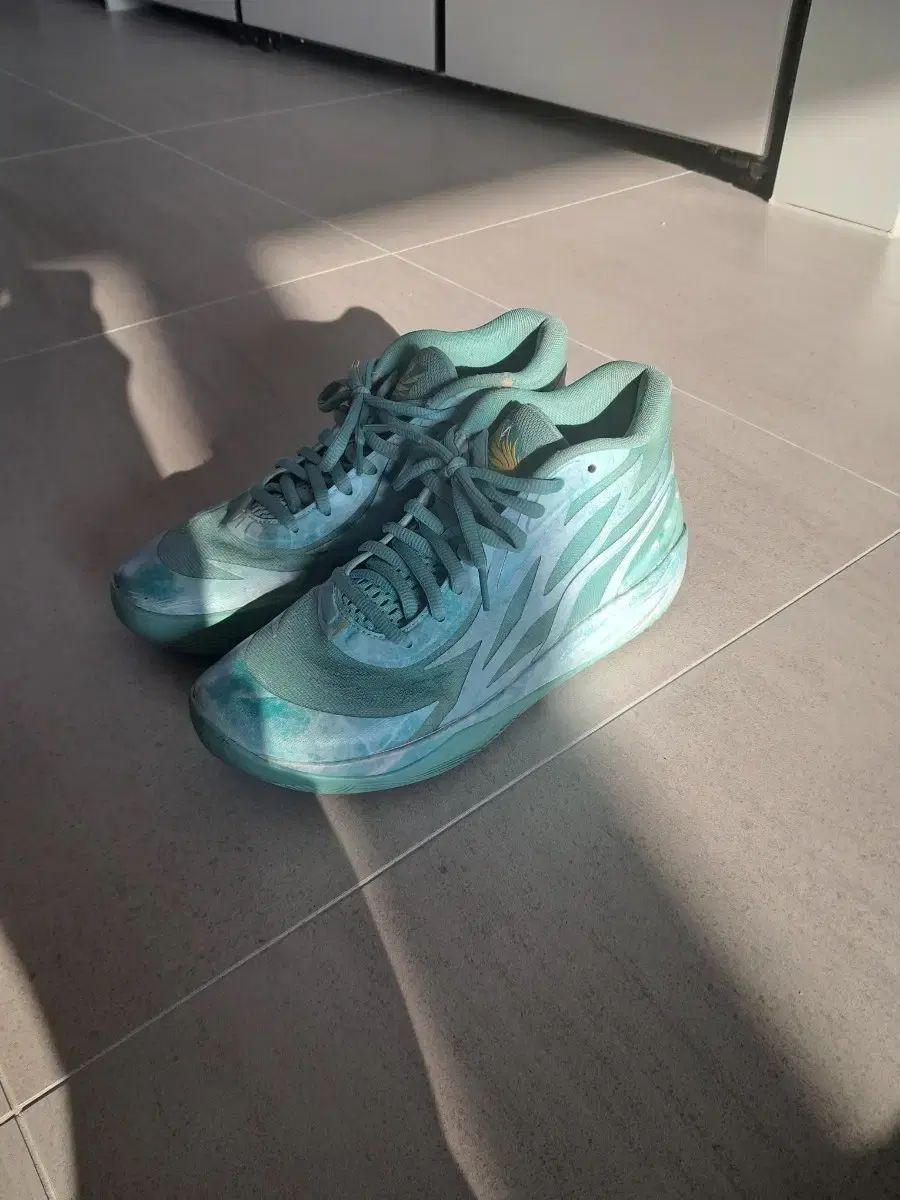 허자 ほとんどなし バスケットシューズ 2 犬 270