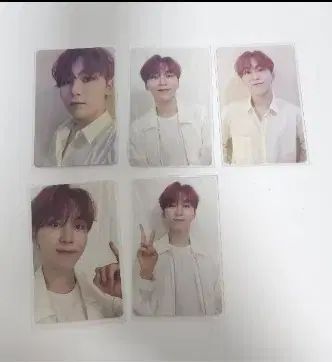 全国送料無料の通販 SEVENTEEN(セブンティーン・セブチ) スングァン(SEUNGKWAN) 日本 タレントカード