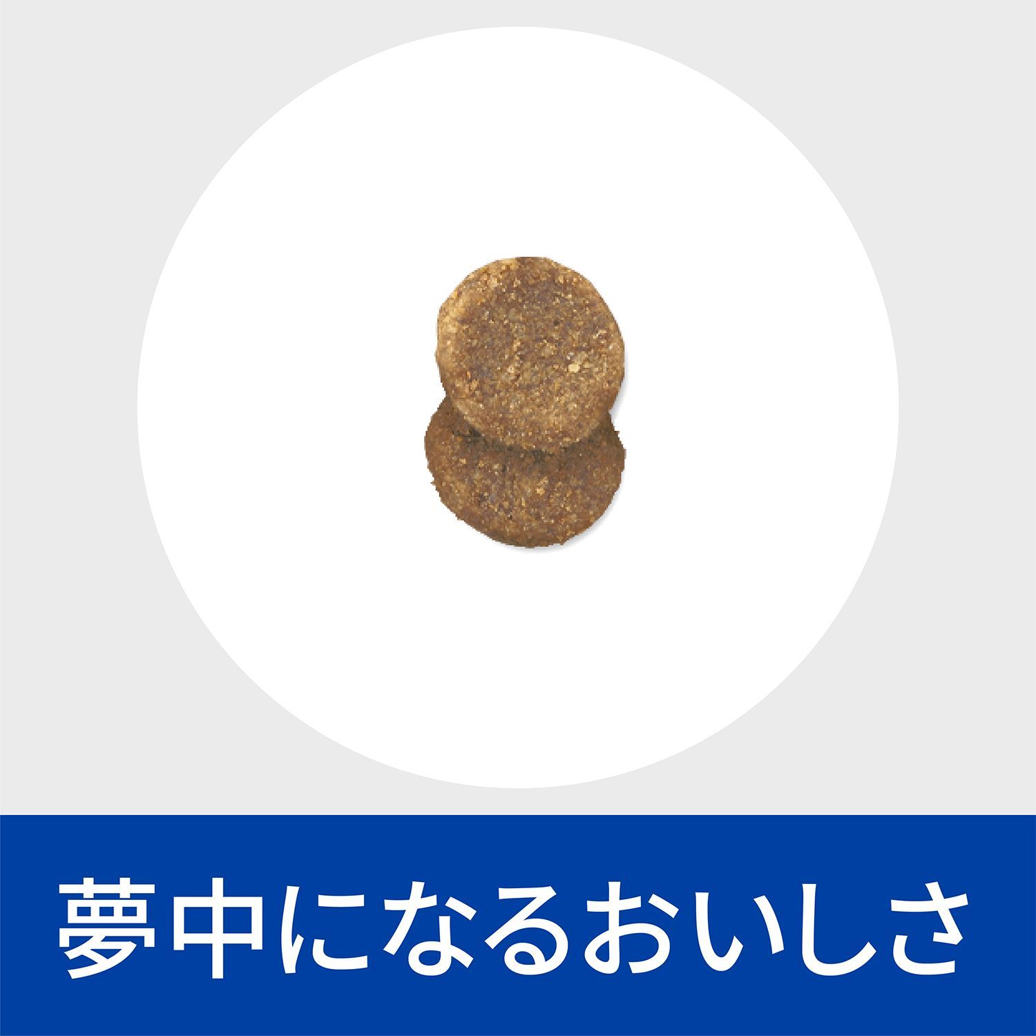 2kg プリスクリプション
