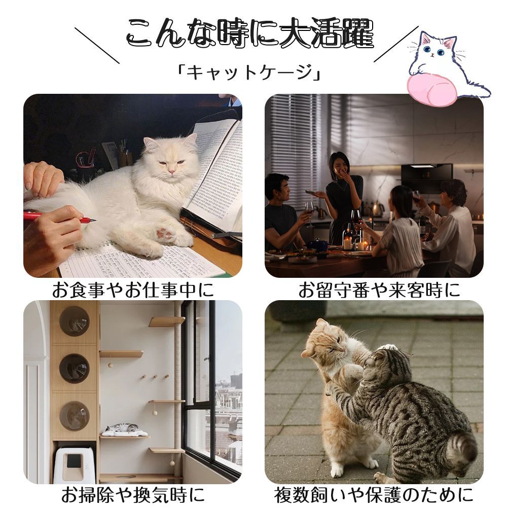 ネコ ハウス