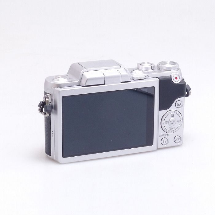 DMC-GF7