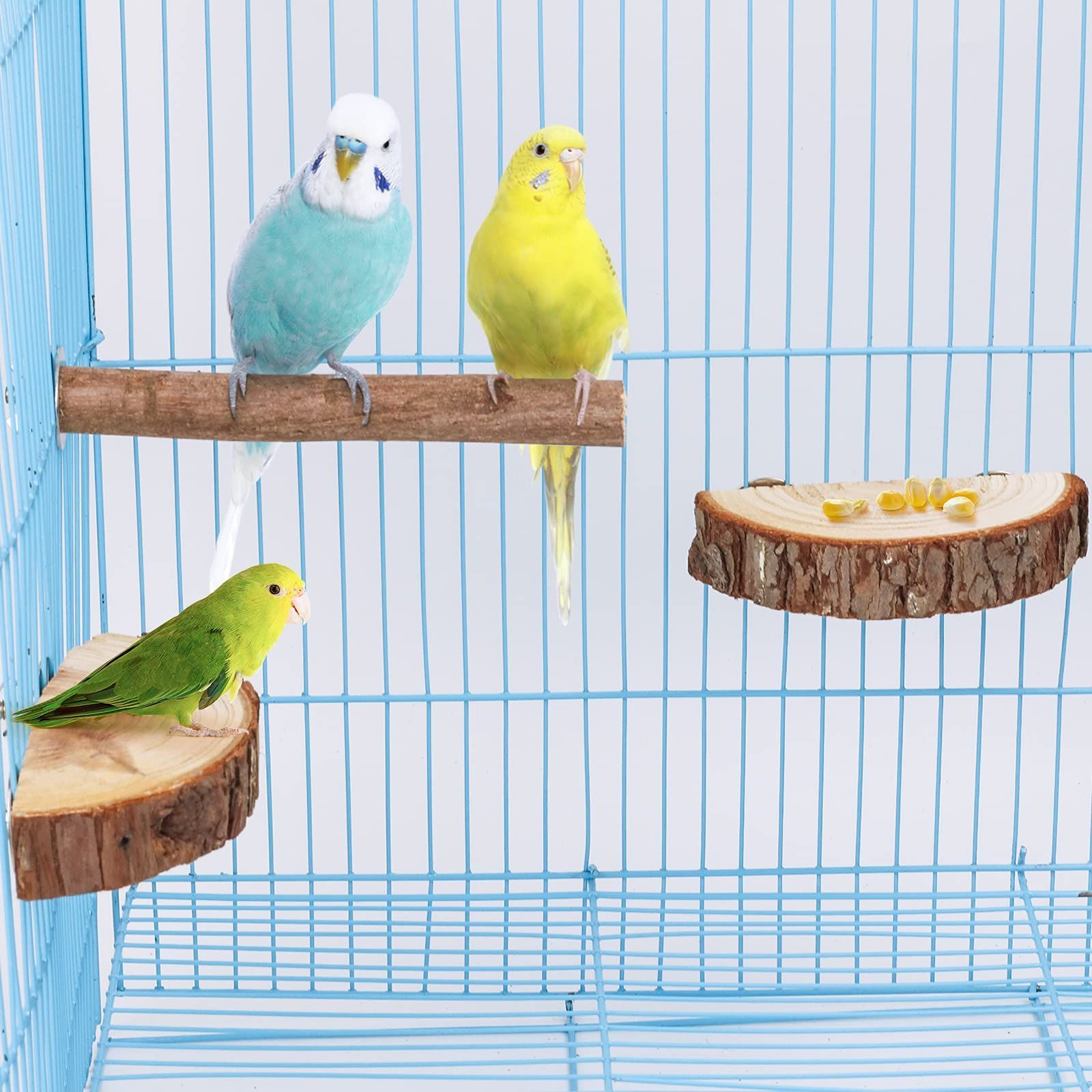 アクリル バードケージ[スリムタイプ] オウム 鳥 インコ 小動物用 アクリル バードケージ[スリムタイプ] オウム 鳥 インコ 小動物用