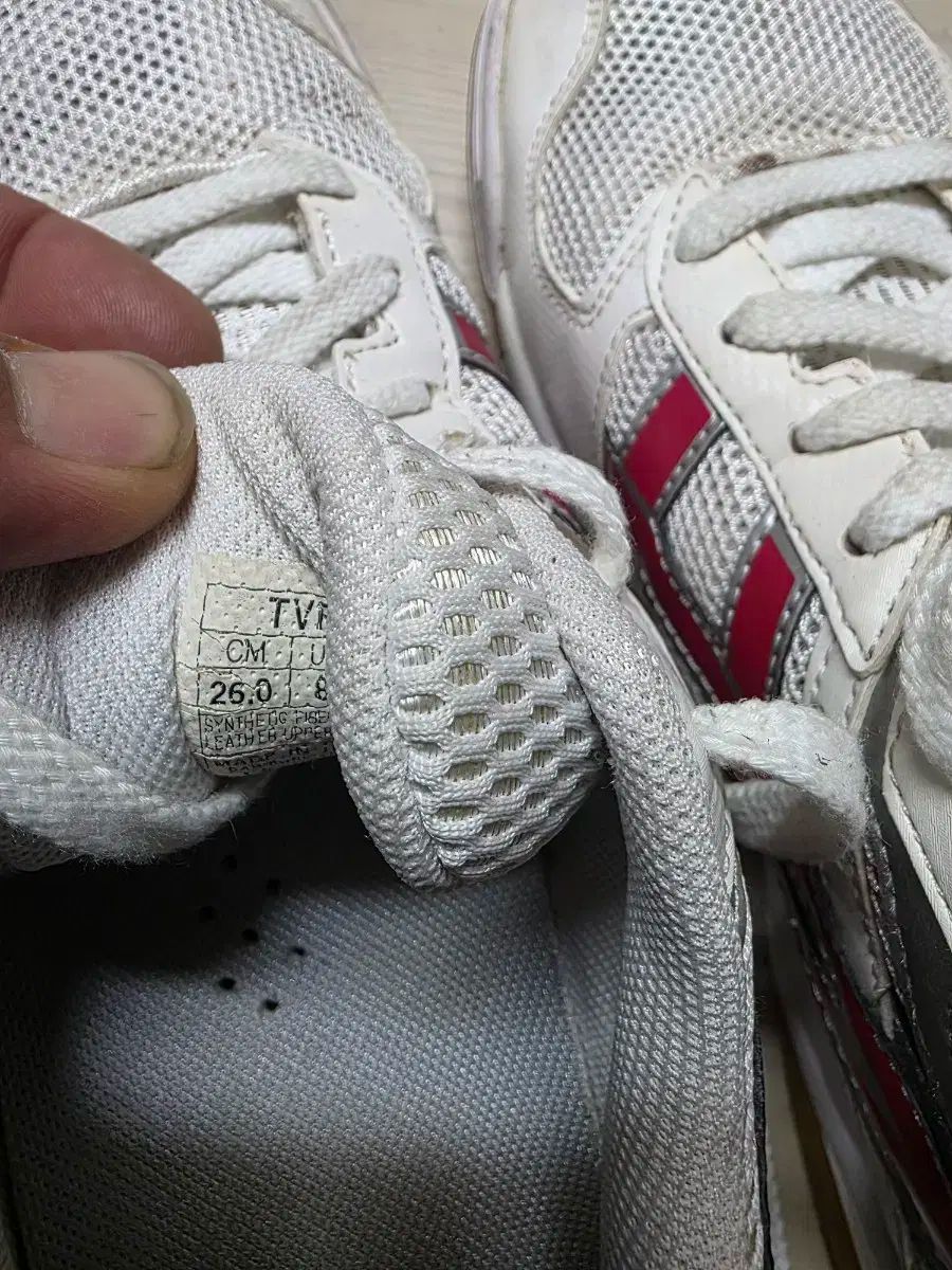 5 バレーボール