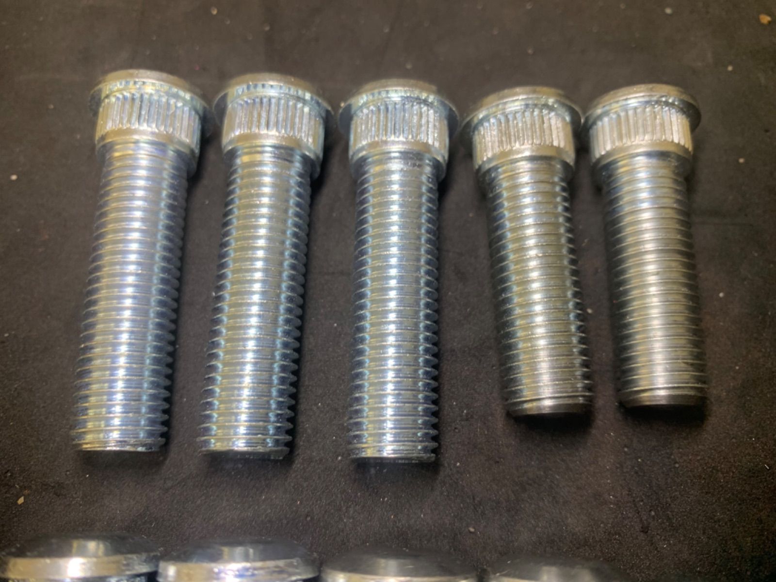 洋書　GUIDE DES MYGALES タランチュラなど 洋書 GUIDE DES MYGALES タランチュラなど 洋書 GUIDE DES MYGALES