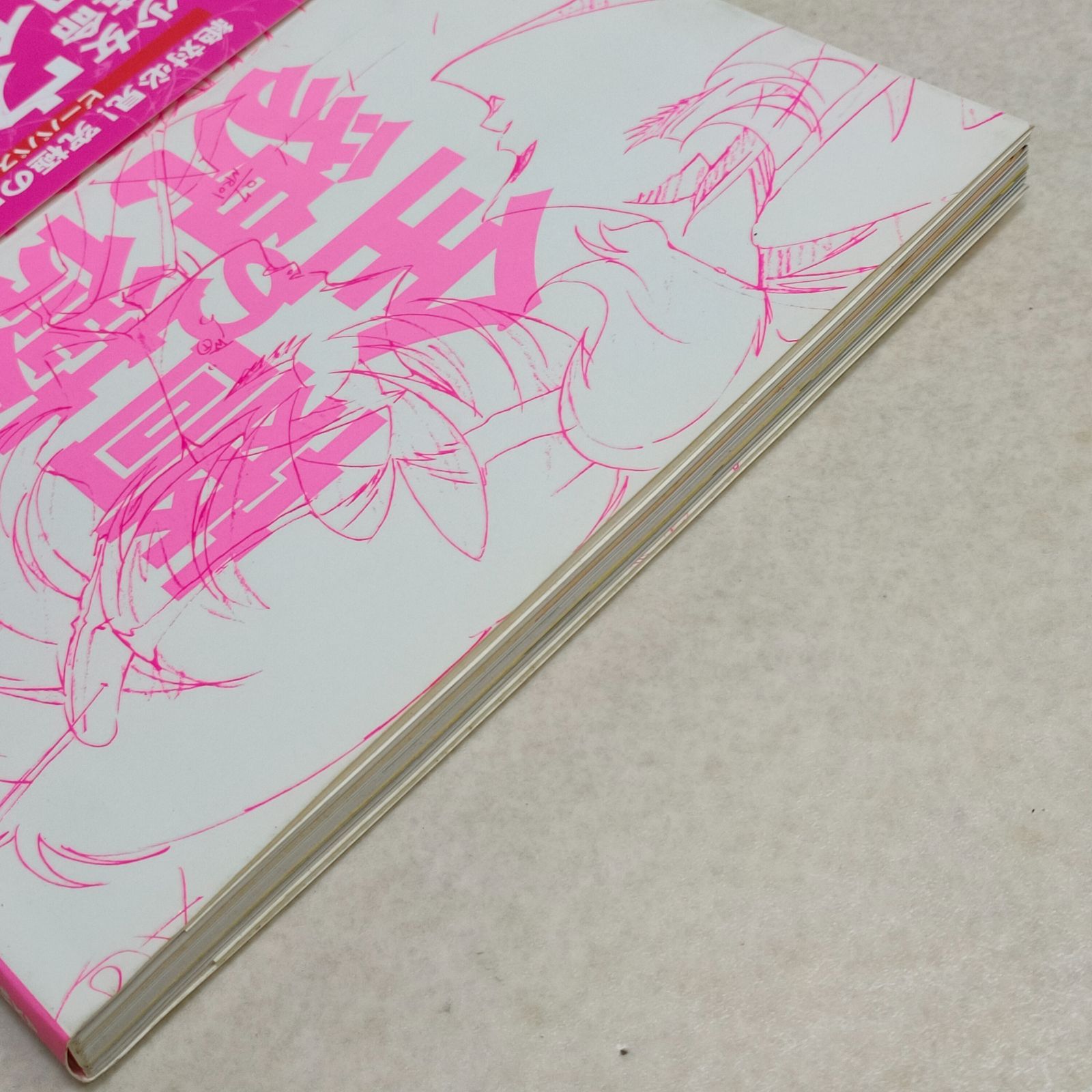 薔薇の全貌 少女革命ウテナart collection イラスト集 希少 ポスター付