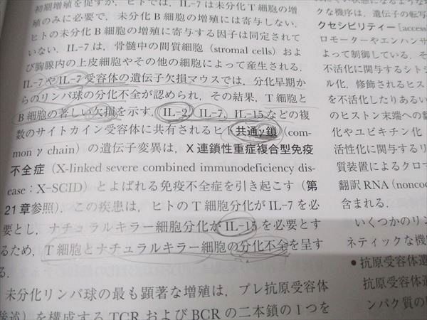 分子細胞免疫学 原著第10版　裁断済み 分子細胞免疫学 原著第10版 アバス-リックマン-ピレ | Abul K