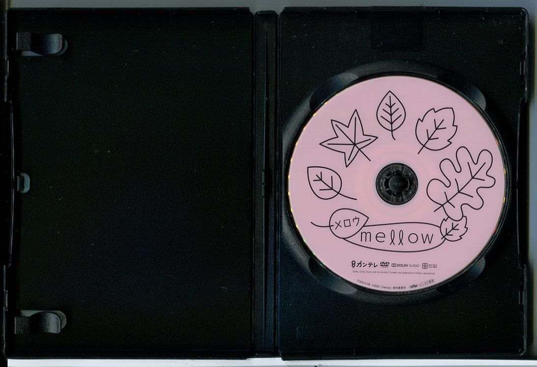 mellow メロウ/DVD 中古 レンタル落ち/田中圭/岡崎紗絵/c6299