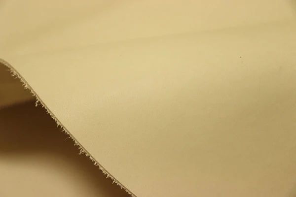 牛革 バングラデシュ