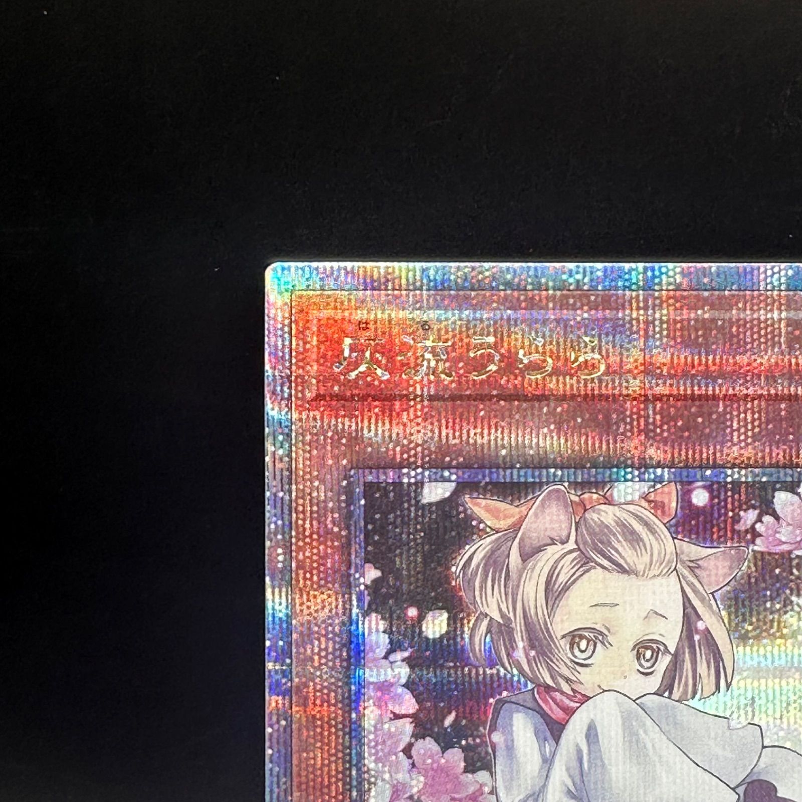 遊戯王 灰流うらら 新規イラスト クォーターセンチュリーシークレット