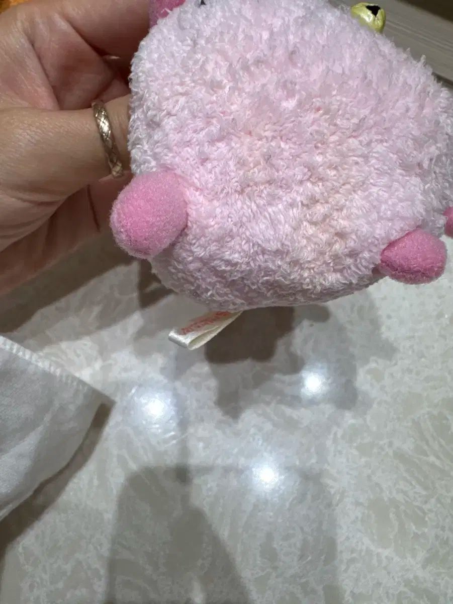 子犬 豚