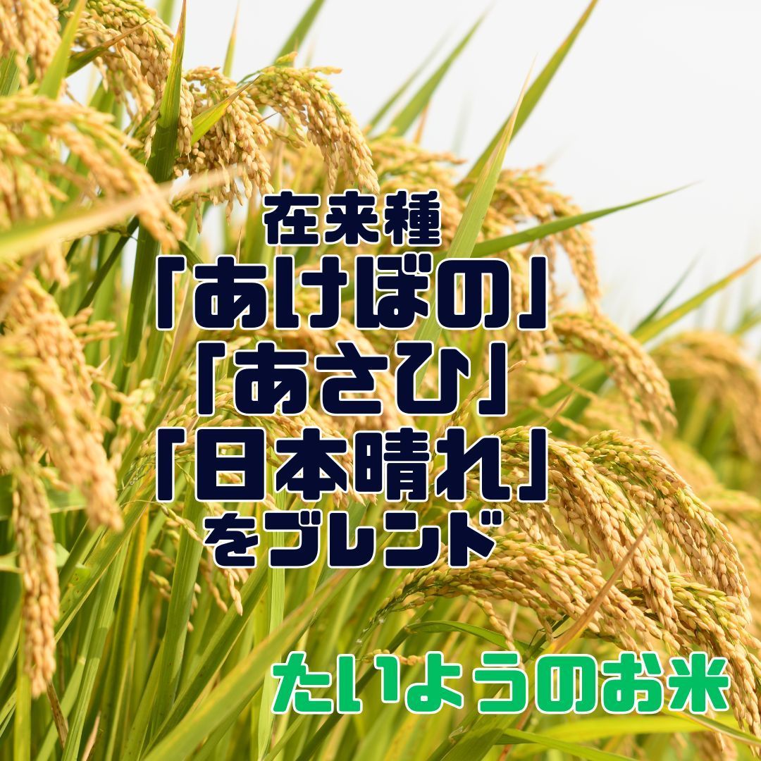 な岡山県産
