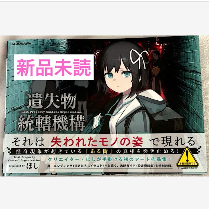 遺失物統轄機構　S-1-2 キャンバスアート　遺失物345 遺失物統轄機構 S-1-2 キャンバスアート 遺失物345