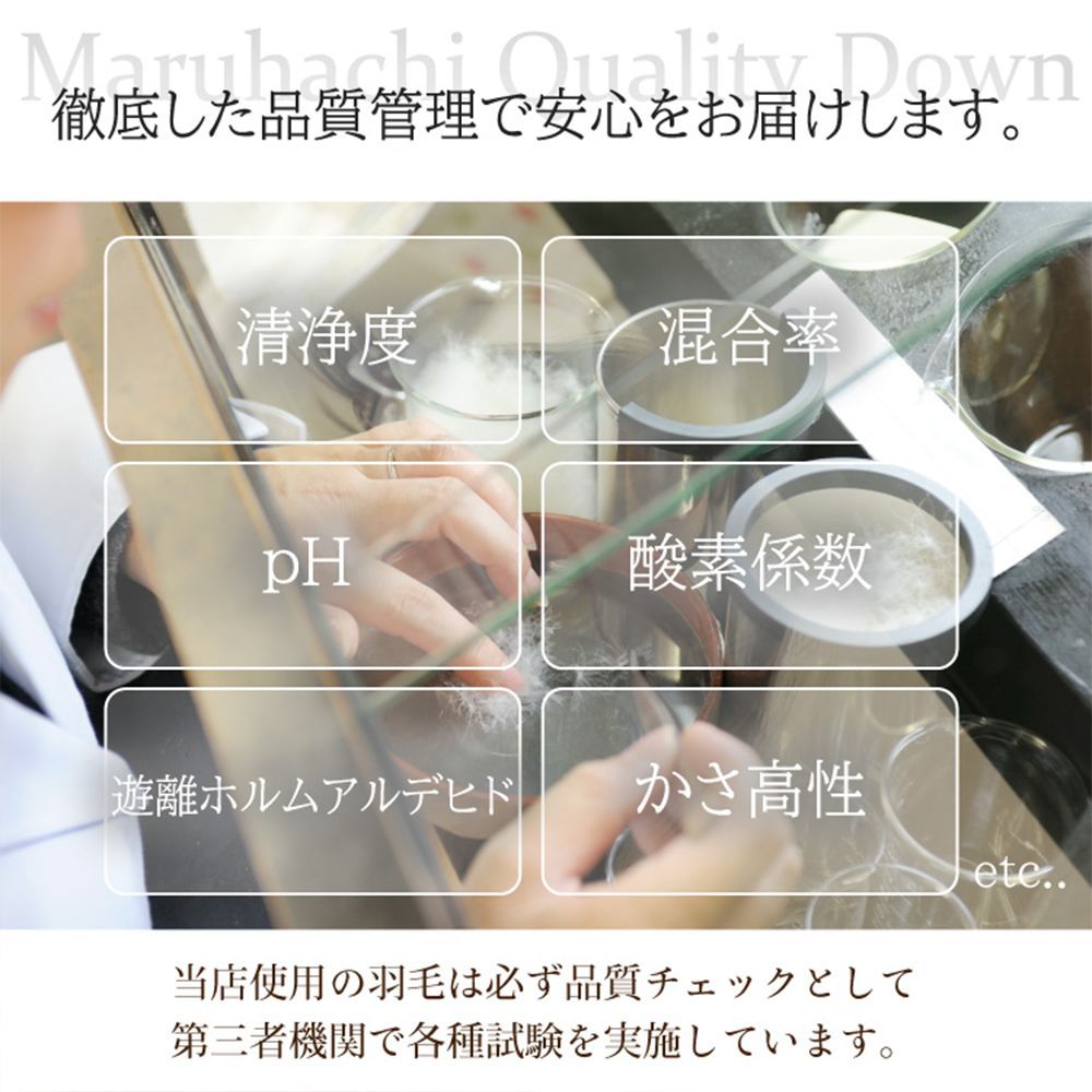 アイボリー 丸八