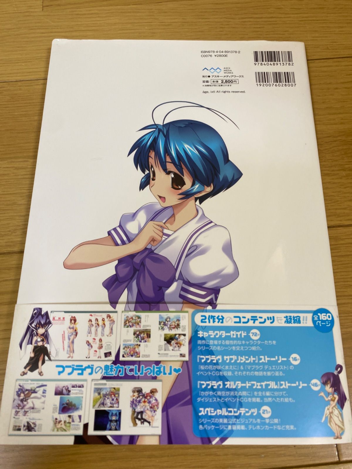 マブラヴサプリメント&オルタードフェイブルメモリアルアート