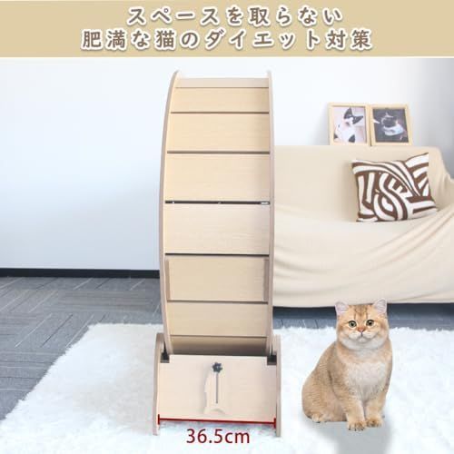 猫ホイール