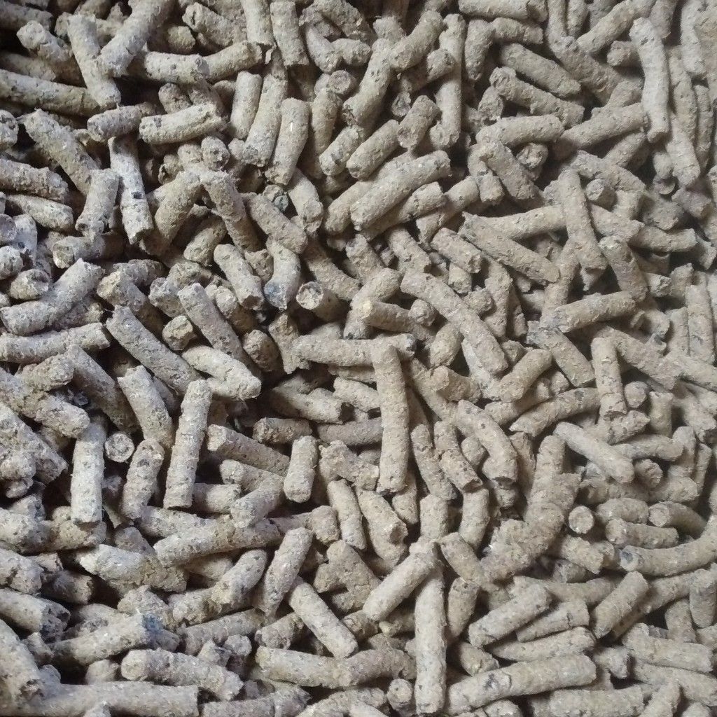 カムイピリカ4.8kg(800g×6袋セット) 一生一度は与えたい神フード