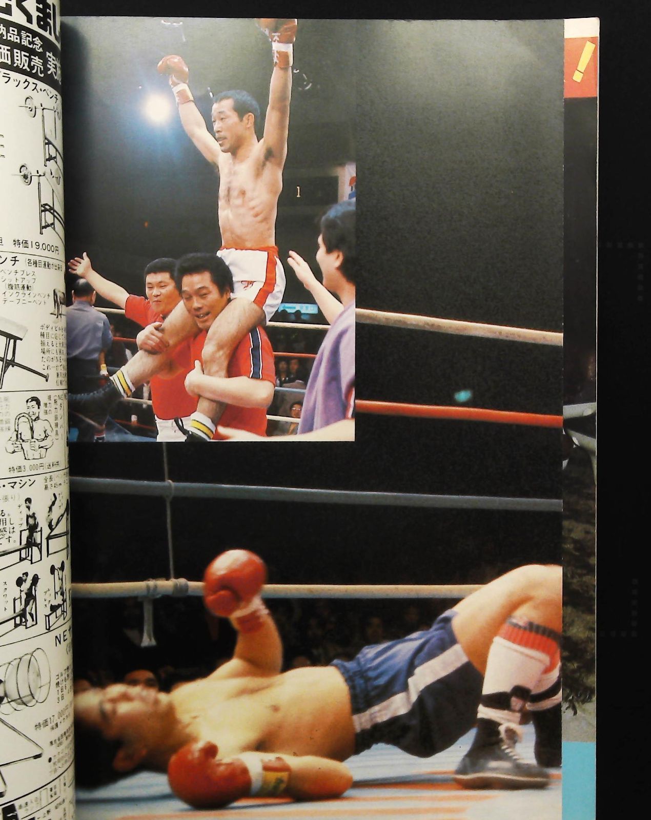 1981年アベラル対大熊戦パンフ。 ボクシング パンフレット WBA世界フライ級タイトルマッチ 大熊