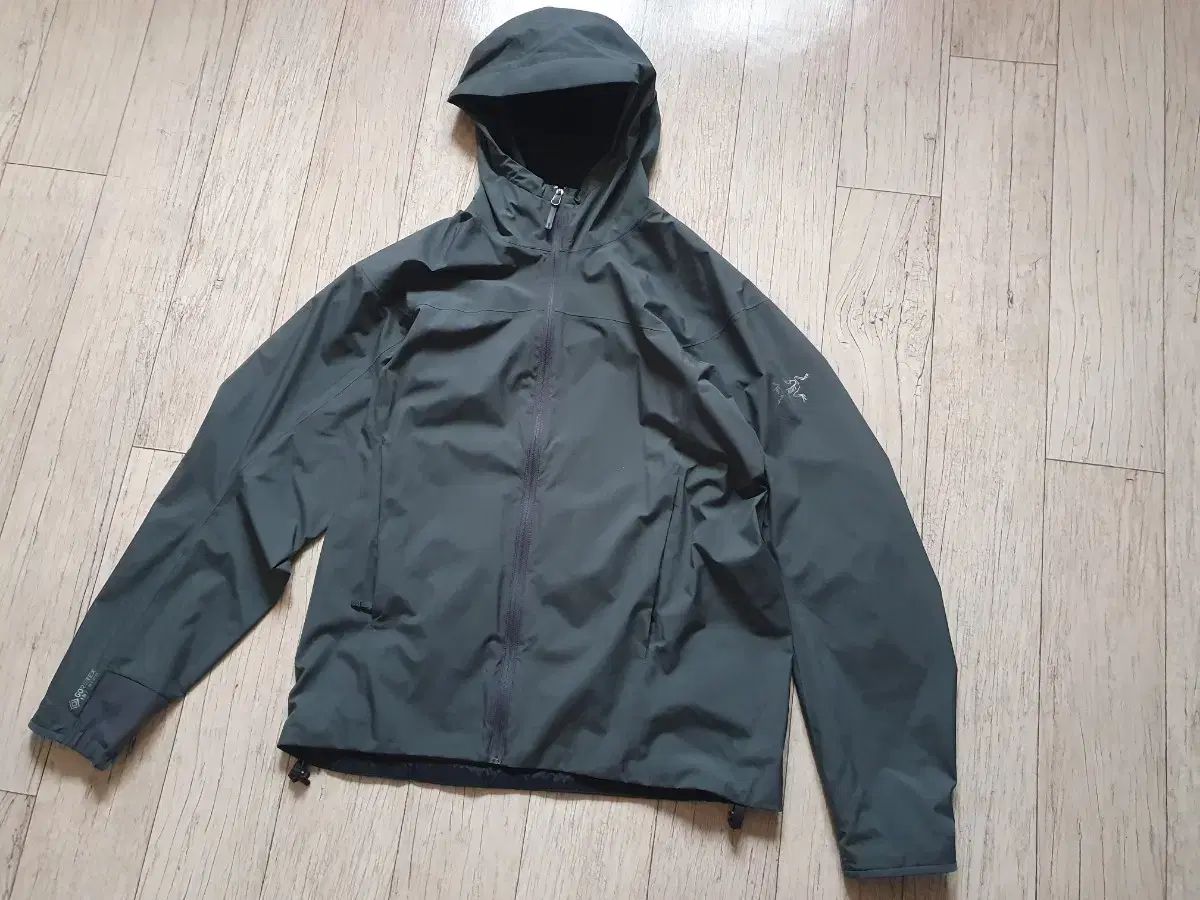 Sコンディション ARC TERYX アークテリクス ソーラーノ フーディー m