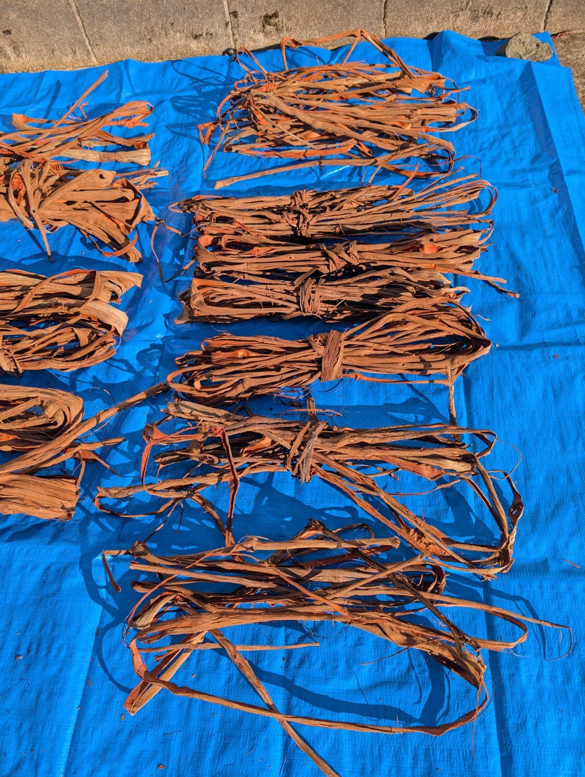 天然山葡萄の蔓3