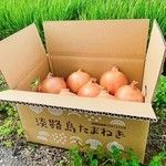 《玉ねぎの王様ターザン》淡路島玉ねぎ “いくたま” Lサイズ 10kg【兵庫県淡路島産】