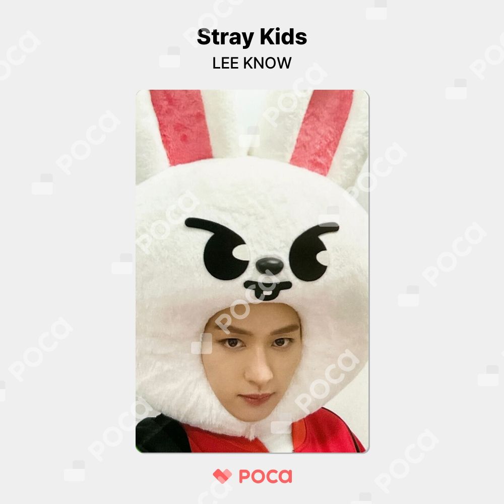 リノ soundwave トレカ straykids スキズ Noeasy straykids リノ】スキズ NOEASY SOUNDWAVE 公式 トレカ