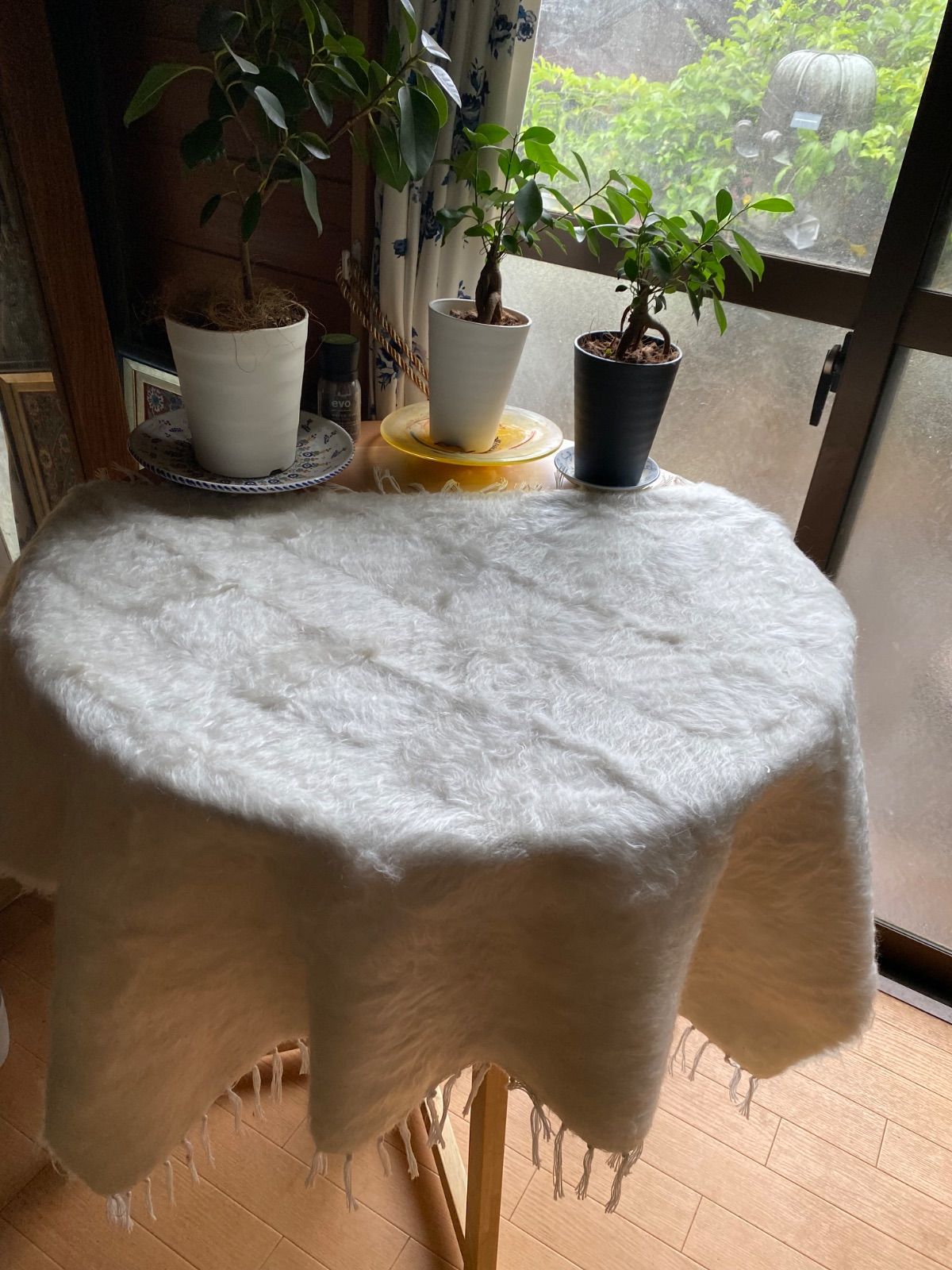 の新しい白ねシイルトバッタニイェ最後の一枚